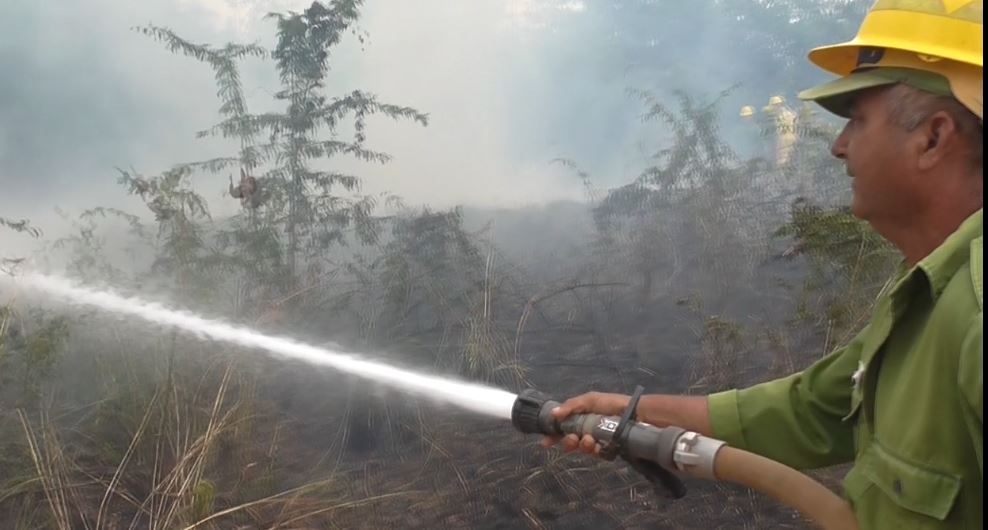Combatiendo incendios forestales