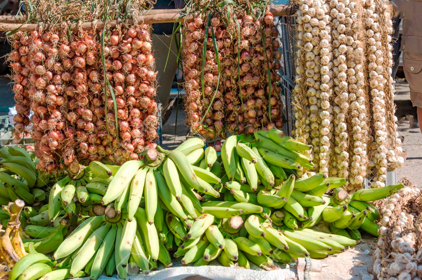 producción agrícola privada abunda a precios difíciles para la población cubana la economia