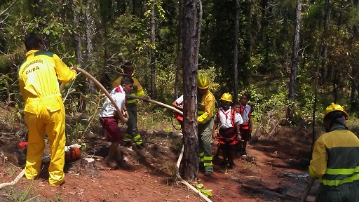 3 preparando trochas