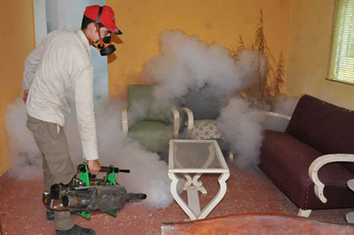 Plan de fumigacion contra el Aedes aegypti